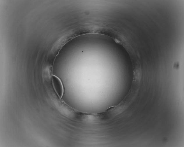 X0000114630286200910201426