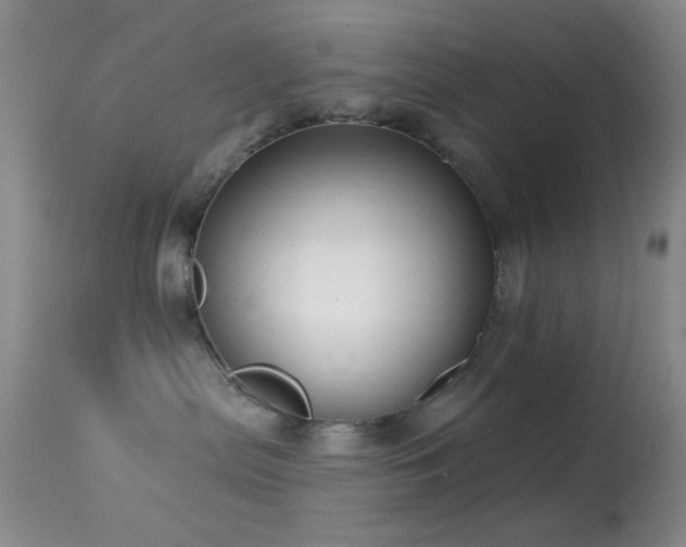 X0000114630287200910201427