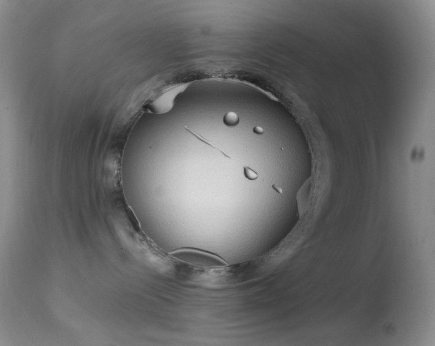 X0000114630288200910201427