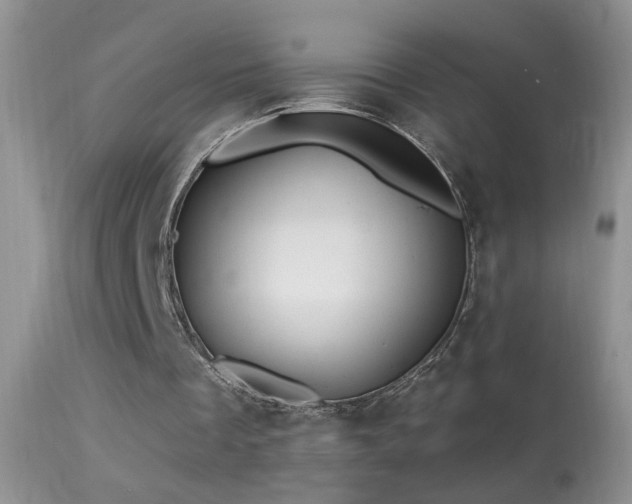 X0000114630289200910201426