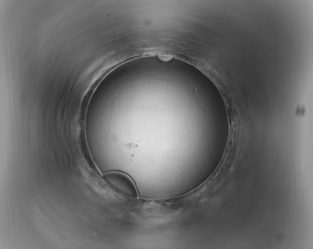 X0000114630290200910201426