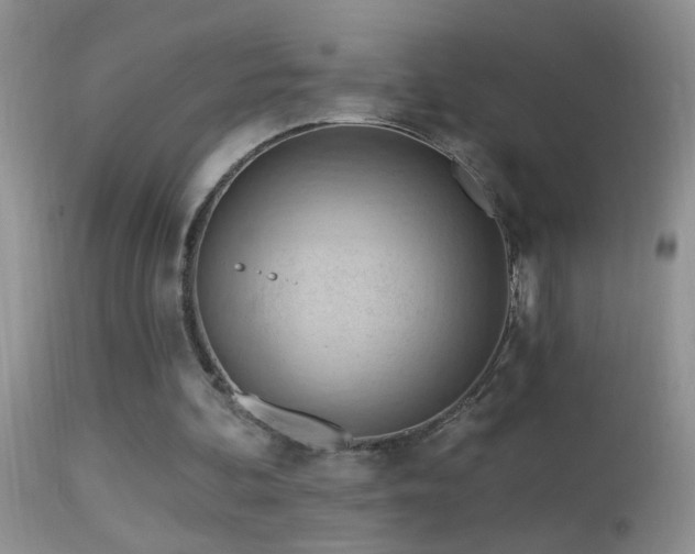 X0000114630292200910201426