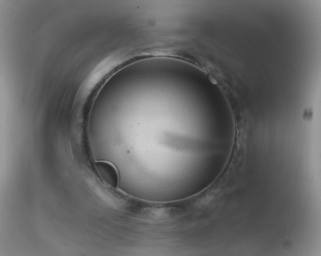 X0000114630295200910201426