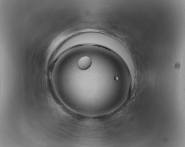 X0000114630296200910201426