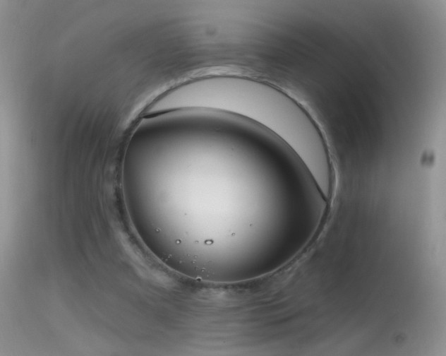 X0000114630297200910201426