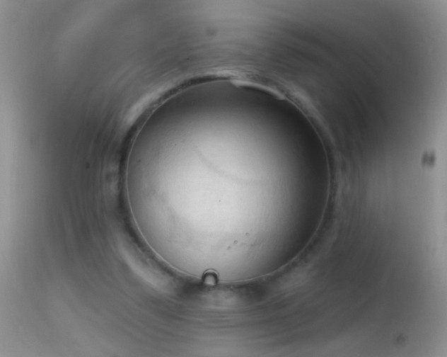 X0000114630299200910201426