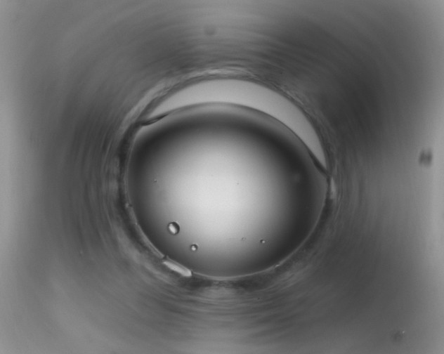 X0000114630300200910201426