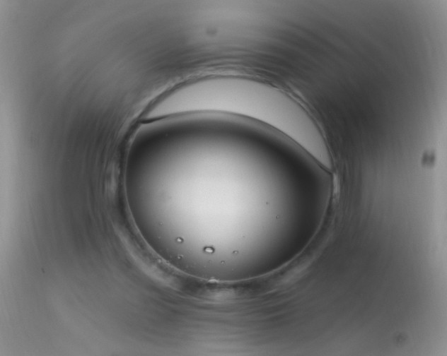 X0000114630301200910201426