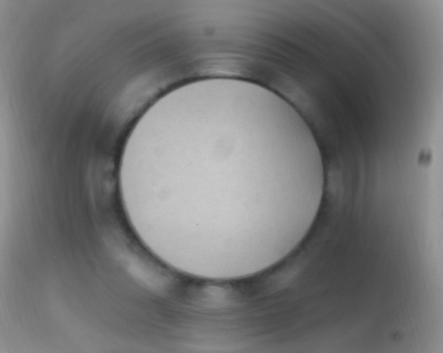 X0000114630302200910201426