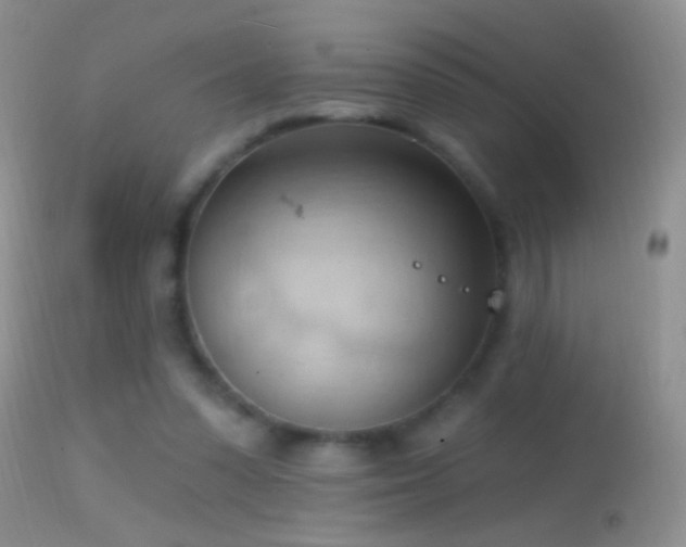 X0000114630303200910201426