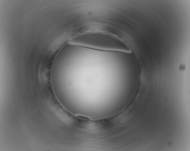 X0000114630305200910201426