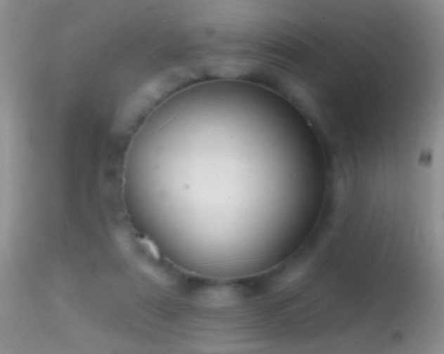 X0000114630307200910201426