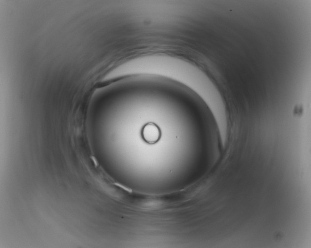 X0000114630313200910201426