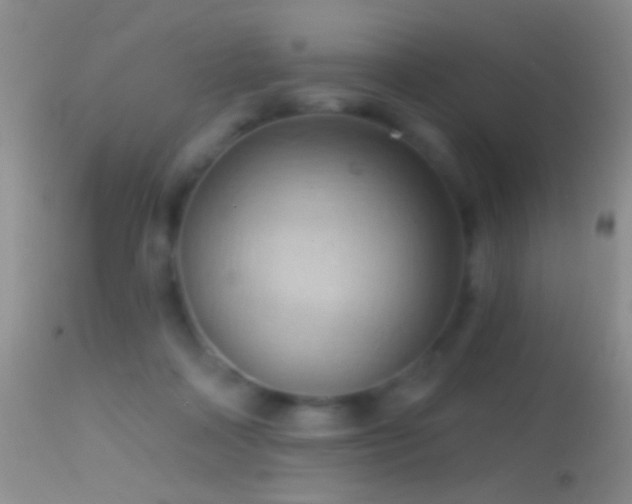 X0000114630314200910201426