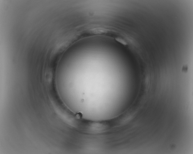 X0000114630315200910201426