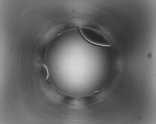 X0000114630317200910201425