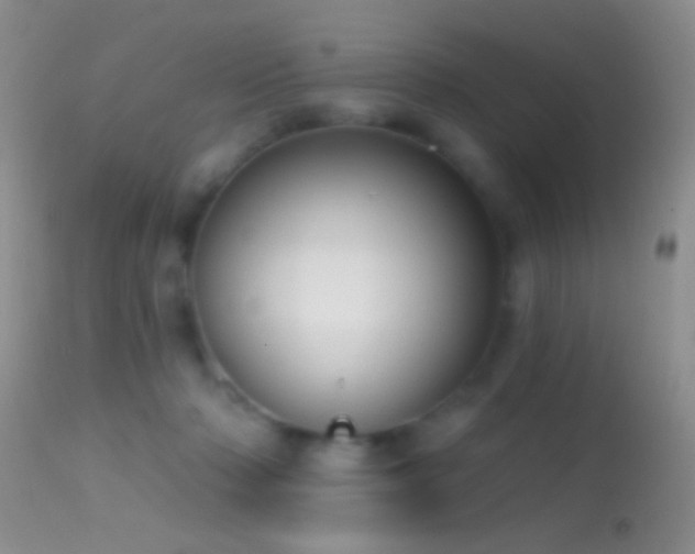 X0000114630318200910201425