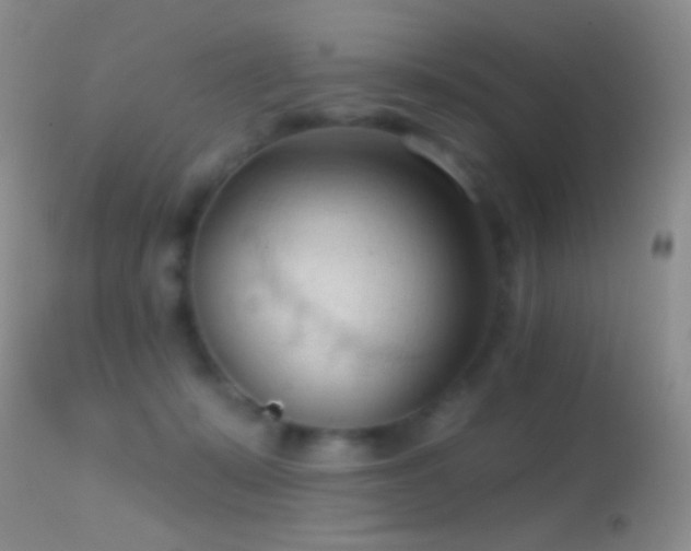 X0000114630319200910201425