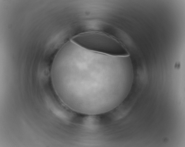 X0000114630320200910201425