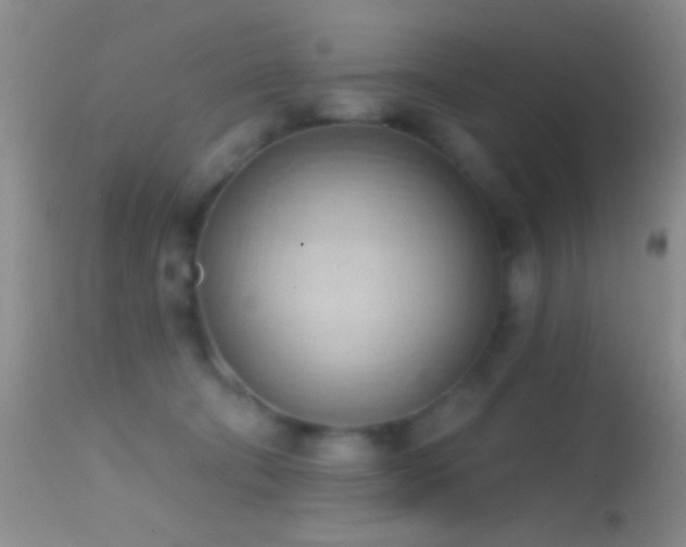 X0000114630322200910201425