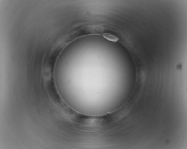 X0000114630323200910201425