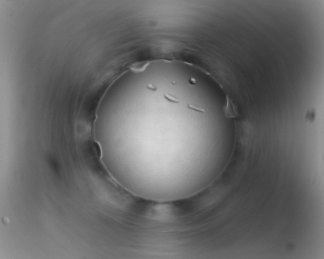 X0000114630324200910201425