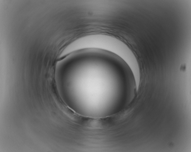 X0000114630325200910201425