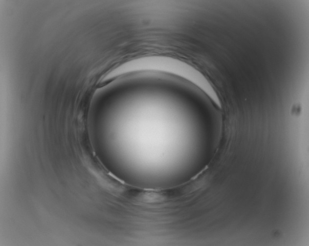 X0000114630327200910201425