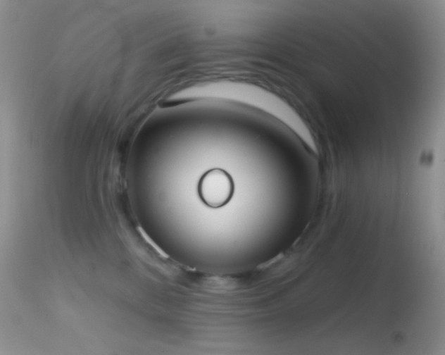 X0000114630328200910201425