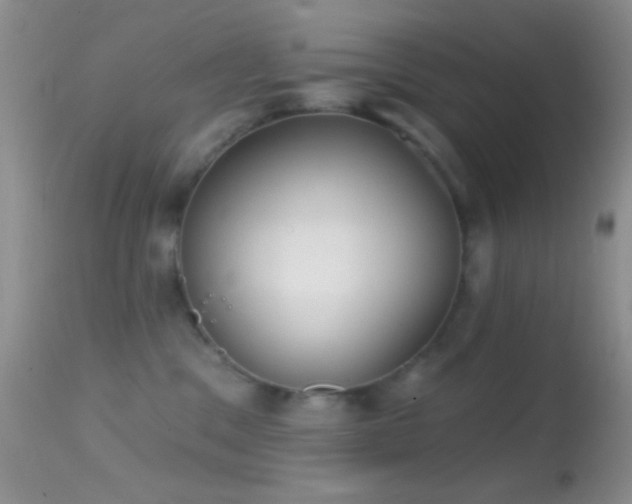 X0000114630329200910201425