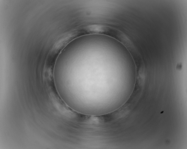 X0000114630330200910201425