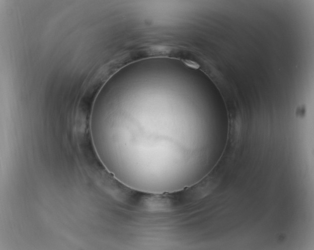 X0000114630331200910201425