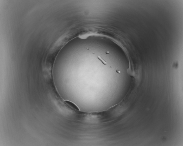 X0000114630332200910201425