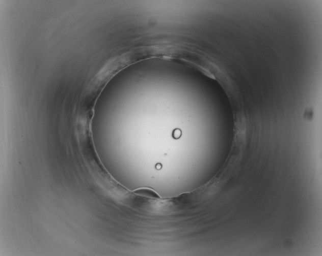 X0000114630333200910201425