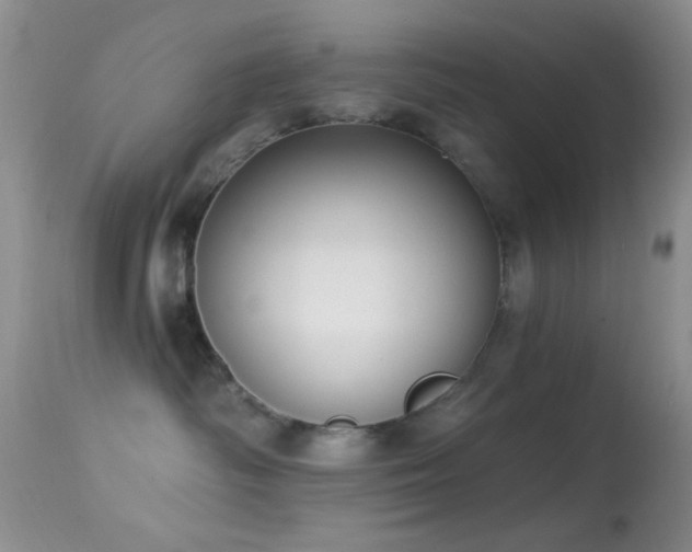 X0000114630334200910201425