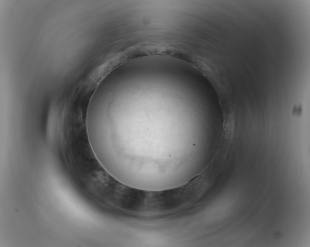 X0000114630335200910201425