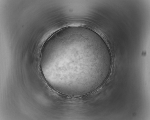 X0000114630337200910201425