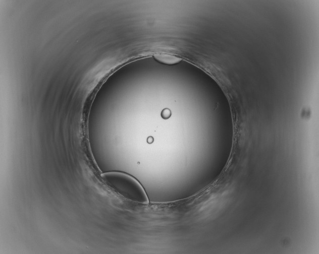 X0000114630338200910201425