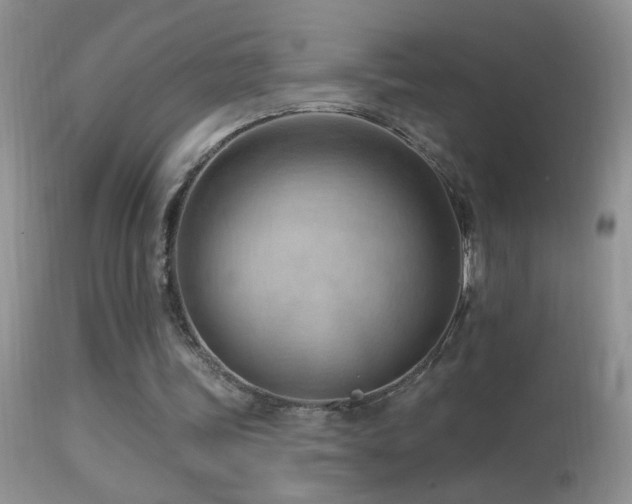 X0000114630339200910201425