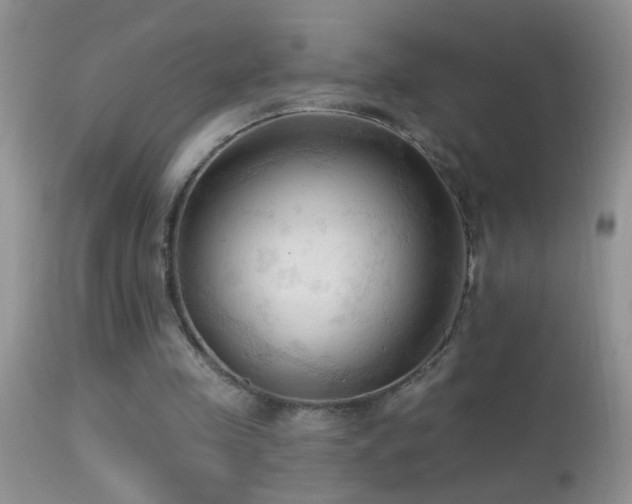 X0000114630341200910201425