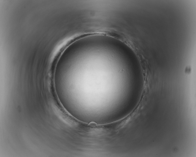 X0000114630342200910201425