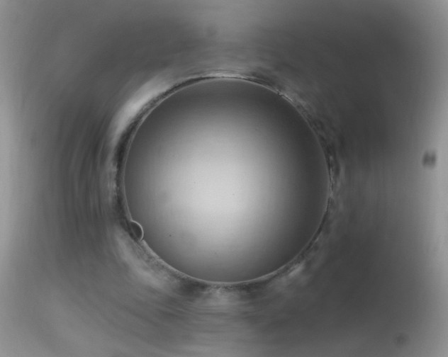 X0000114630343200910201425