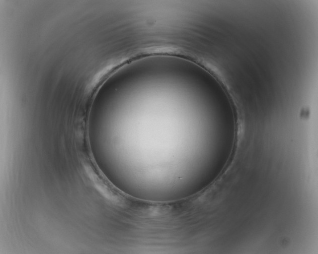 X0000114630345200910201425