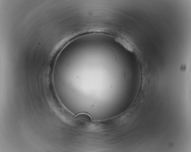 X0000114630346200910201425