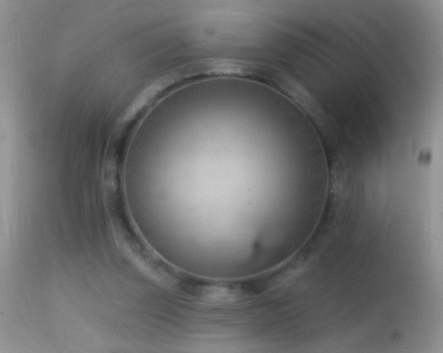 X0000114630347200910201425