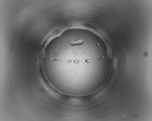 X0000114630349200910201425