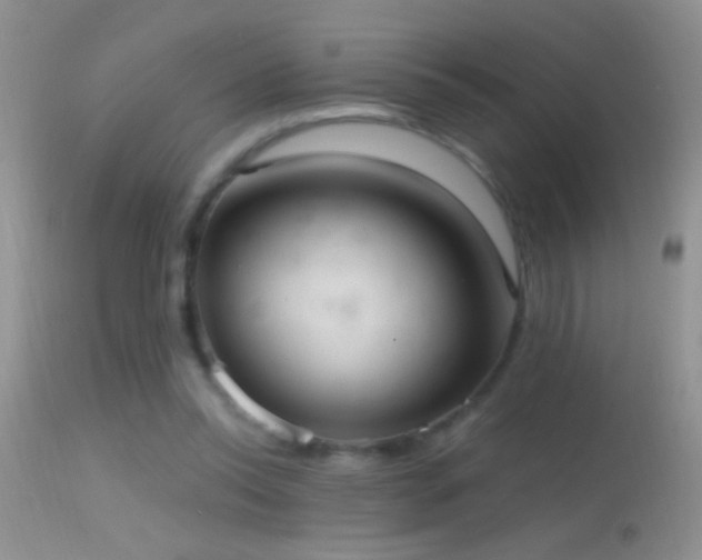 X0000114630350200910201425