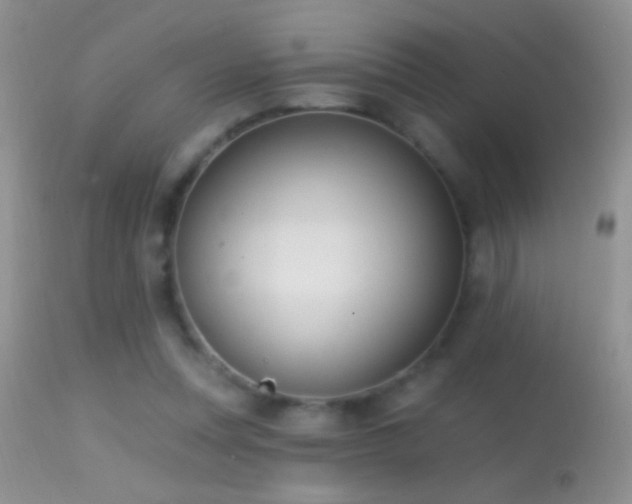 X0000114630351200910201425