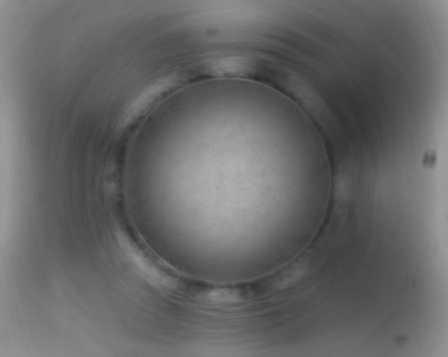 X0000114630353200910201425