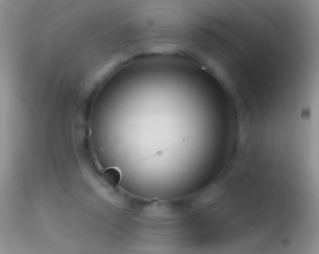 X0000114630354200910201425